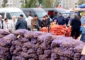 Дан старт осенним ярмаркам: от 1.00 до 49.00 за килограмм