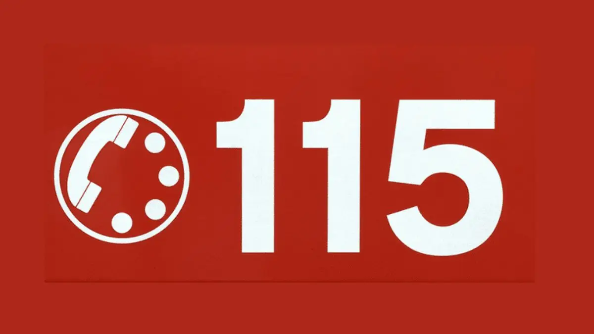 115