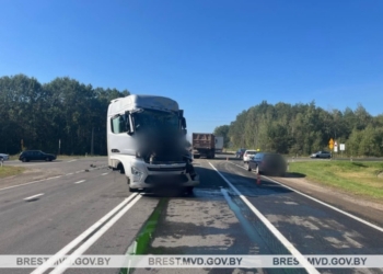 Обзор происшествий на дорогах Брестчины за неделю от ГАИ