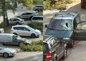 СПИЛИТЬ НЕЛЬЗЯ ОСТАВИТЬ! Как поставят запятую автовладельцы и любители зеленых насаждений