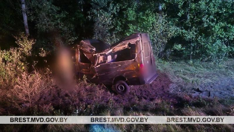 В Пинском районе случилась авария из-за выбежавшего лося