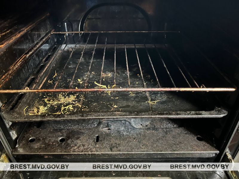 В Пинске мужчина сушил каннабис в духовке