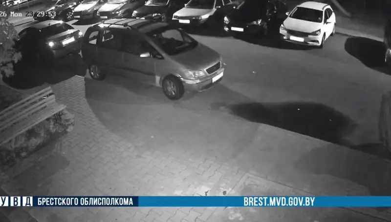 Женщина в Бресте напилась и забросала посудой припаркованные машины