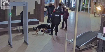 У 49-летней пассажирки автобуса на границе обнаружили наркотики, благодаря служебной собаке